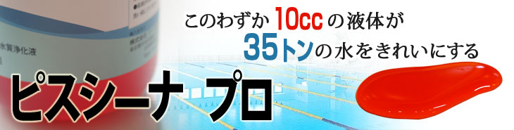 プールの水を透明にするピスシーナプロ(470ml) 施設のプールから